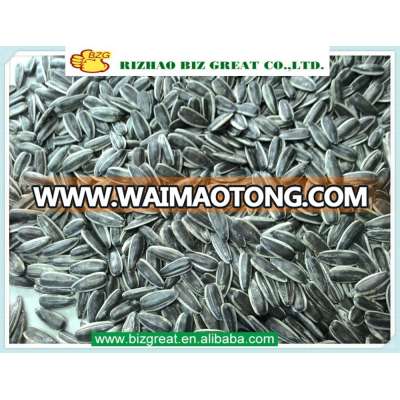 Roasted Salted Sunflower Seeds with good quality