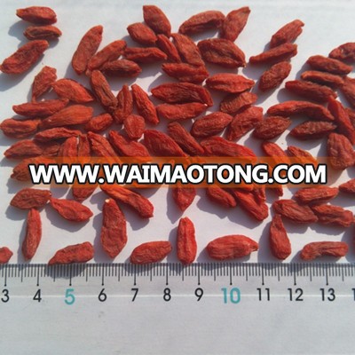 New crop 2018  dried goji berry China goji berry