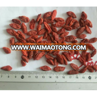 dried goji berry natural dried wolf berry with new crop from Ningxia China