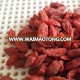 Organic dried goji dried organic goji berry dried goji with new crop in new crop from China