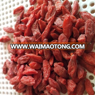 dried organic goji berry organic dried goji berry dried goji certification by EOS NOP from China