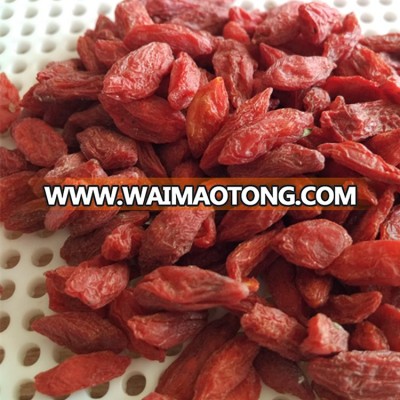 dried goji berry dried organic goji berry from Ningxia China