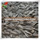 2016 New crop of sunflower seeds 5009