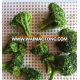 Chinese Natural VF Dried Broccoli Chips