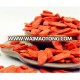 goji berry bulk