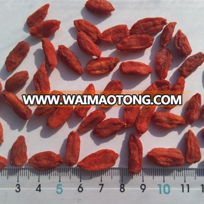 2018 New Crop organic dried goji berry Ningxia goji berry certified