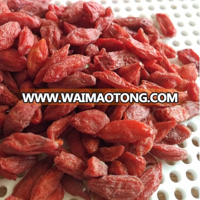 dried organic goji berry orrganic dried goji berry from China certifying by EOS NOP